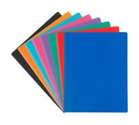 Protège-documents Viquel Essentiel recycle polypropylène opaque 60 pochettes -120 vues