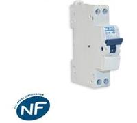 Proteus - disjoncteur ph/n 16a G