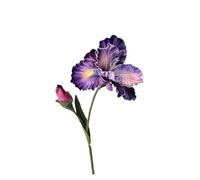 PSNKLMM Fleur d'iris Artificielle imprimée en 3D, 5 pièces/lot, décoration de Mariage, Arrangement Floral Table fête, Maison, Fausses Fleurs(Color 2)