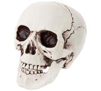 P'tit Clown - 11690 - Crâne à Poser en Plastique - 20 cm - Parfait pour Décoration Halloween - Réaliste avec Détails Précis - Accessoire Effrayant pour Créer Une Ambiance Macabre et Ténébreuse