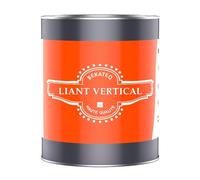 PU Liant vertical + couche de fond pour tapis de pierre, 4kg incolore I Polyuréthane renforçant le gravier pour supports verticaux I Revêtement en résine PU pour mur, escalier, socle BEKATEQ BK-633