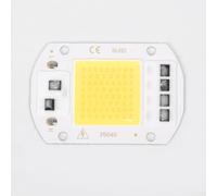 Puce LED COB 20W Floodlight 220V Driver IC(50W)