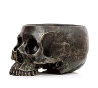 Puckator Jardinière Pot - Crâne
