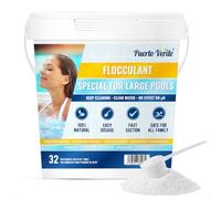 Puerto Verde • Floculant Naturel 32 Traitements. Clarifiant pour Les Grandes Piscines et Les Spas. Éliminateur de Turbidité pour Une Eau Cristalline. Format Granulé à Utilisation Sûre.