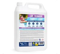 Puerto Verde pH- Minus Liquide 10 L pour Piscines et Spa. 100% Naturel. | Correcteur pH- pour Spas, Bains à Remous et Piscines au Sel. Régulateur pH Rapide et Efficace pour Baisser le pH.