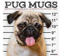 Pug Mugs 2026 12 X 12 Wall Calendar - Willow Creek Press - Willow Creek Press Calendars - Livre en Anglais - Calendar Willow Creek PressWillow Creek Press (Auteur)