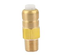 Pugermering Soupape de Décharge Thermique En Laiton Compacte pour Pompe à Haute Pression Vanne de Régulation Automatique de Température Micro Soupape D'Échappemen