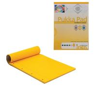 Pukka Dyslexia Bloc-notes ligné avec marge 50 feuilles de 80 g/m² Format A4 doré