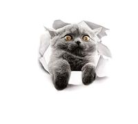 Pulabo Autocollant décoratif pour abattant de toilettes Motif chat mignon