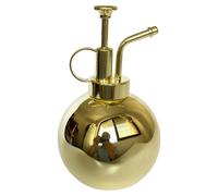 Pulvérisateur pour plantes en métal et petite arrosoir pour plantes d'intérieur (doré, 0,5L)