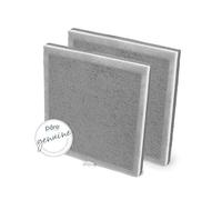 Pure Enrichment Genuine 3-in-1 True HEPA Replacement Filter for the PureZone Air Purifier - 2 Pack (PEAIRPLG)