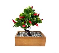 PureBowlic Bonsaï artificiel avec feuilles et baies réalistes, fausse plante compacte en pot pour la maison, le bureau, la décoration de bureau, ornement de simulation de caoutchouc souple, style