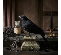 PureBowlic Corbeau en plastique pour intérieur ou extérieur 18 cm | Plumes noires réalistes, taille moyenne de 21 cm, détails d'oiseau réalistes, utilisation en intérieur et en extérieur