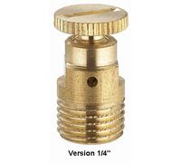 Purgeur à volant pour radiateur mâle 1/8 (05x10) NOYON & THIEBAULT - 803585"
