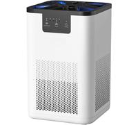Purificateur d'air anti-allergies avec filtre HEPA et humidificateur