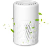 Purificateur d'air - BYTELIKE - Portable - Ions négatifs - Élimine PM2.5 & formaldéhyde - Rechargeable USB