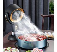 Purificateur d'air de bureau - Virex - Mini - Extracteur de fumée - Désodorisant - Stérile - Rechargeable