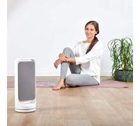Purificateur d'air et générateur d'ozone