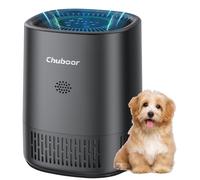Purificateur d'air, filtre HEPA H13, design compact, couleur noire - Sans Wi-Fi