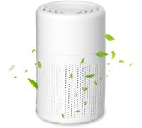 Purificateur d'air générateur d'ozone, élimine les odeurs, convient aux environnements automobiles.