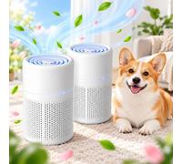 Purificateur d'air, lot de 2, filtres à charbon actif et HEPA, idéal pour les personnes allergiques et les fumeurs