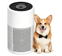 Purificateur d'air pour chambre à coucher, idéal pour les personnes allergiques, avec aromathérapie, couleur blanche, pack de 1