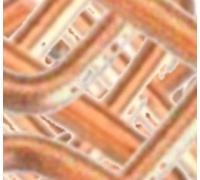 PUTANGE - Lot de 2 x 10 = 20 détentes pour piège à Taupe de Type