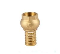 PXQCHAVLN Vanne de Fond à Filetage Femelle 1/2" 3/4" 1" DN15 DN20 DN25 DN32 DN40 DN50 DN65 Clapet de Pied de Pompe à Eau en Laiton(DN25)