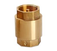 PYEUIFT Clapet Anti Retour 1 Pouces, Vanne Antiretour En Laiton AG Vers IG, Etanche Inoxydable Pour Pompe, Machine À Laver, Jardin, Citerne D'eau