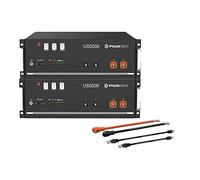 Pylontech 015655-006 Lot de 2 batteries LiFePO4 US5000 9,6 kWh avec kit de câbles de raccordement onduleur