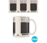 Pyramid International - Mug en céramique Harry Potter Sirius Black 315 ml - Licence officielle
