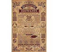 Pyramid International Harry Potter Quidditch at Hogwarts Unisexe Poster multicolore Papier 61 x 91,5 cm
