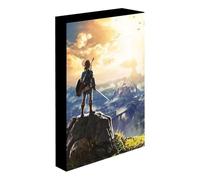 Pyramid International Legend of Zelda - Into The Wilds - Toile Lumineux 40 x 30 cm, Vert ou bleu