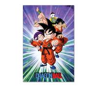 Pyramid International Poster Dragon Ball | Son Goku & Fighters Group | Poster nostalgique de première série | Poster mural Anime | Environ 61 x 91,5 cm