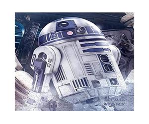 Pyramid International R2-D2 Droid Star Wars The Last Jedi Mini Affiche Plastique/Verre Multicolore 40 x 50 x 1,3 cm