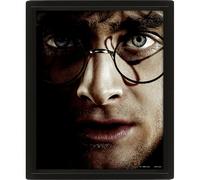 Pyramide Poster 3D Harry Potter Harry/Voldemort