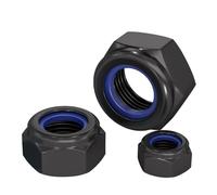 QANCEN 20 Pièces Écrous Hexagonaux M5 en Acier Inoxydable A2 V2A, Noir Écrous Autobloquants avec Inserts en Nylon,DIN985 Filetage Métrique Frein de Blocage pour Boulons,Vis