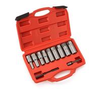 Qianly 11 Pièces Extracteur Boulons et d’éous avec Coffret Endommagés Douille Extractrice Boulon Cassés Outillage pour Bricoleurs, Garage, Atelier