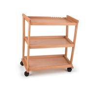 Qianly Chariot d'artiste Multiniveau sserte D'atelier avec roulettes Robuste Meuble pour Artistes, Peintres, Chariot À Trois Niveaux en Hêtre Importé