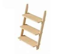 Qianly Étagère Inclinée Verticale | Conception Gain Place, Étagère Échelle en Bois, Verte, Meuble Rangement, pr lon, Chambre, Appartement, 3-Niveaux