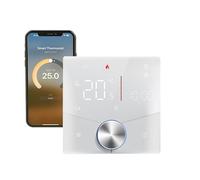 Qiumi Thermostat Matter contact sec pour chaudières gaz et eau | 5A 95-245VAC contact sec, compatible Alexa, Google Home et Apple HomeKit