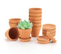 Qivra 10 Pièces Petits Pots en Terre Cuite avec Plateau 5.5x5cm, Mini Pots en Terre Cuite pour Plantes succulentes, Mini Pots de Fleurs en Terre Cuite pour la décoration intérieure et extérieure