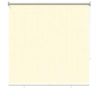 Qnhdfrt Cream Polyester Zebra Roller Blind, 140 x 230 cm