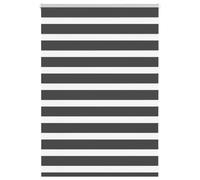 Qnhdfrt No-Drill Black Polyester Zebra Roller Blind, 100x100 cm