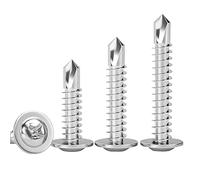 Qrity Vis Autotaraudeuses, 100 Pièces Vis à Tôle Autoperceuses en Acier Inoxydable, Fixation Tôle Bardage Métallique Chéneaux, M4.2 x 25 MM