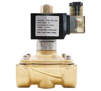 QRUYHBAJU Électrovanne en Laiton normalement Ouverte G3/8 "" à G2 NBR EPDM VITON, Joint AC220V DC12V 24V IP65, vanne d'eau résistante aux Hautes températures(DC 12v-nbr,1.25 inch)