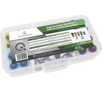 Quadrios 1802O016 Ampoule témoin 6.0 V 3 W Culot E10 32 parties