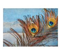 Quadro DEUX PLUMES DE PAON G4050 PINTDECOR