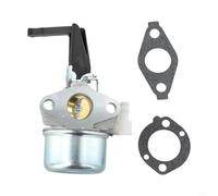 Qualoramall Carburateur avec kit de joints pour 696065 697422 110402 110412 215369 remplace 5HP 5.5HP 6HP pièces de moteur construction métallique pour équipement électrique extérieur accessoires