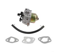Qualoramall Carburateur avec starter automatique 19 mm pour moteur à arbre vertical 1P70F 1P70 1P75F 1P75 196CC Construction métallique Démarrage rapide Livraison de carburant